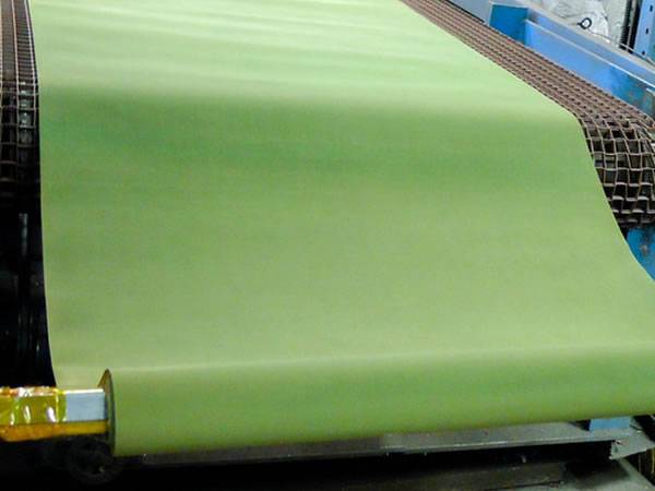 Green PTFE coated wire mesh on the conveyer belt.